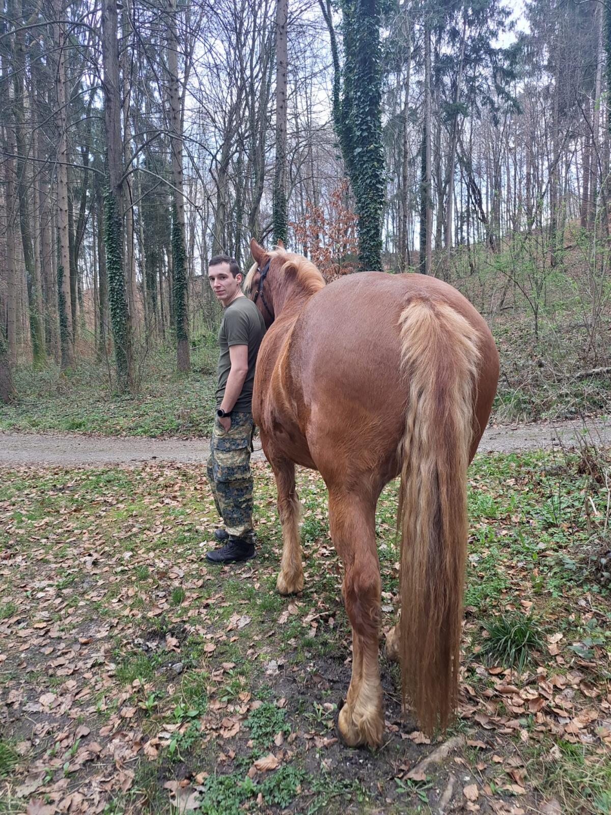 Reitbeteiligung gesucht 3