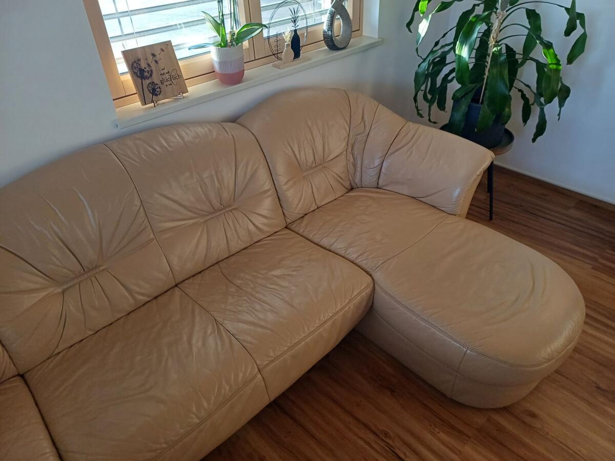 Verschenke Ledercouch 2