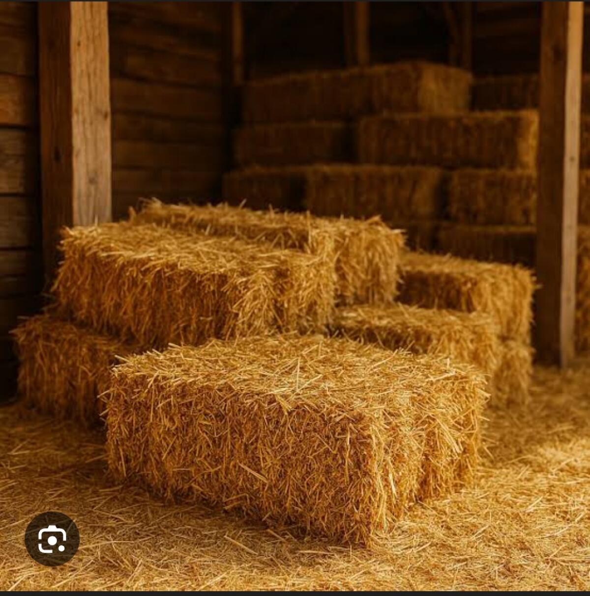 Stroh heu grummet 2