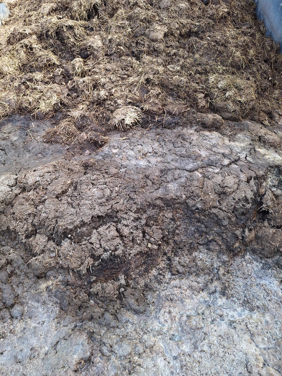 Bio Mist, Bio Gülle, Bio Heu 3