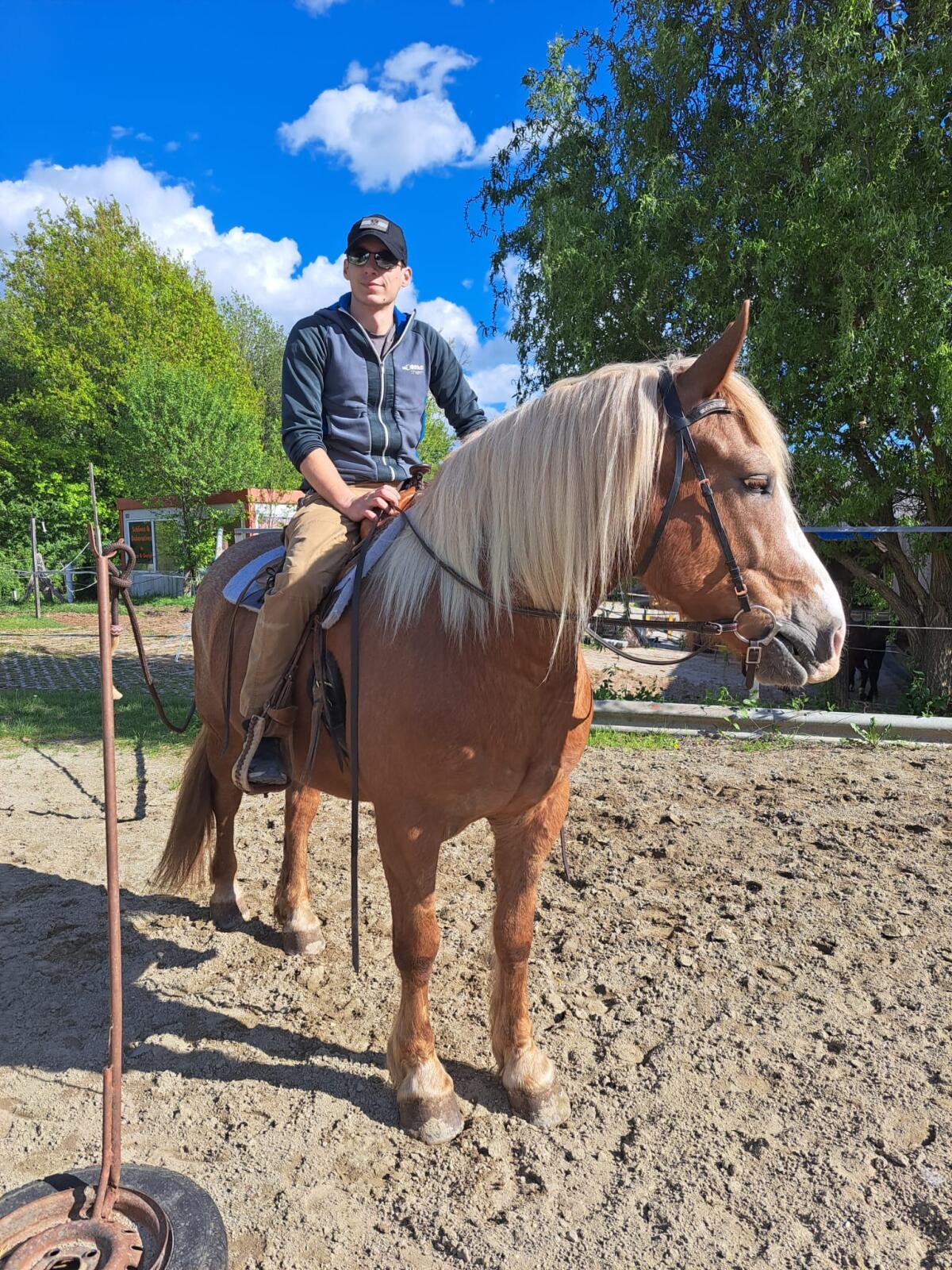 Reitbeteiligung gesucht 2