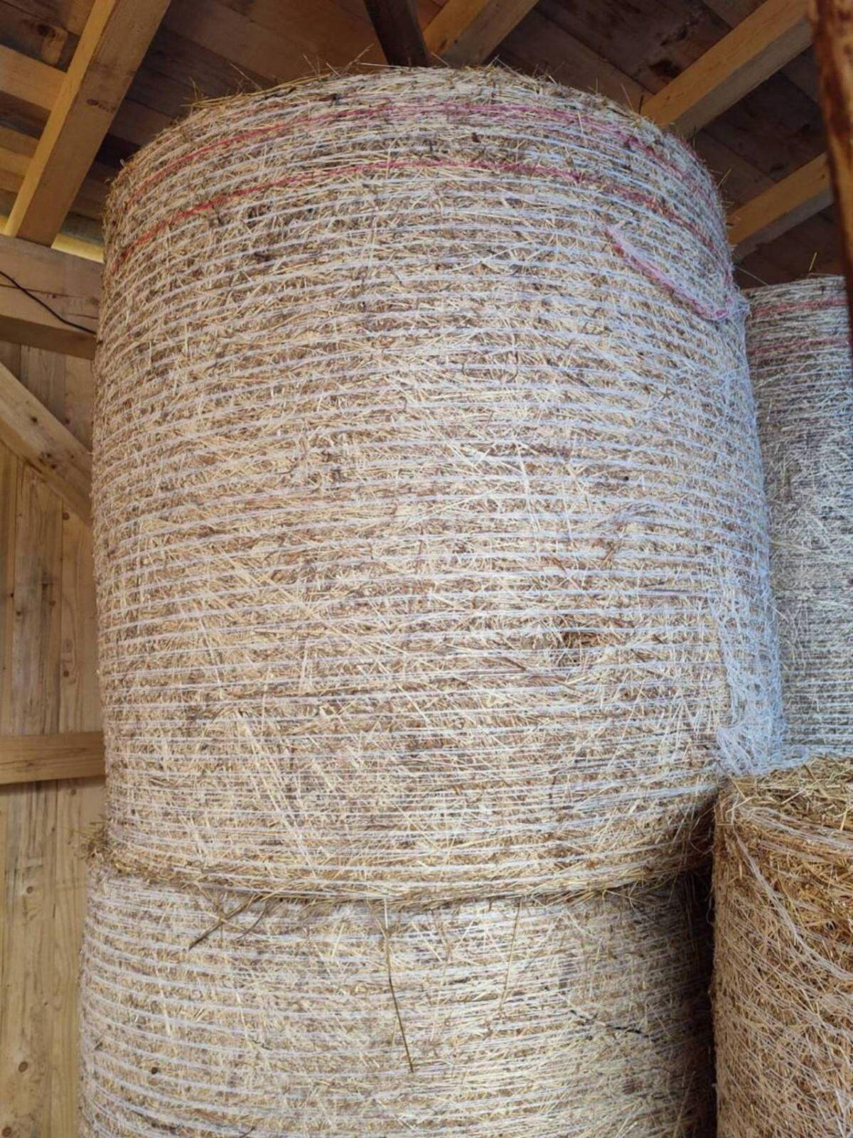 Heuballen, 1. Schnitt 2025 2
