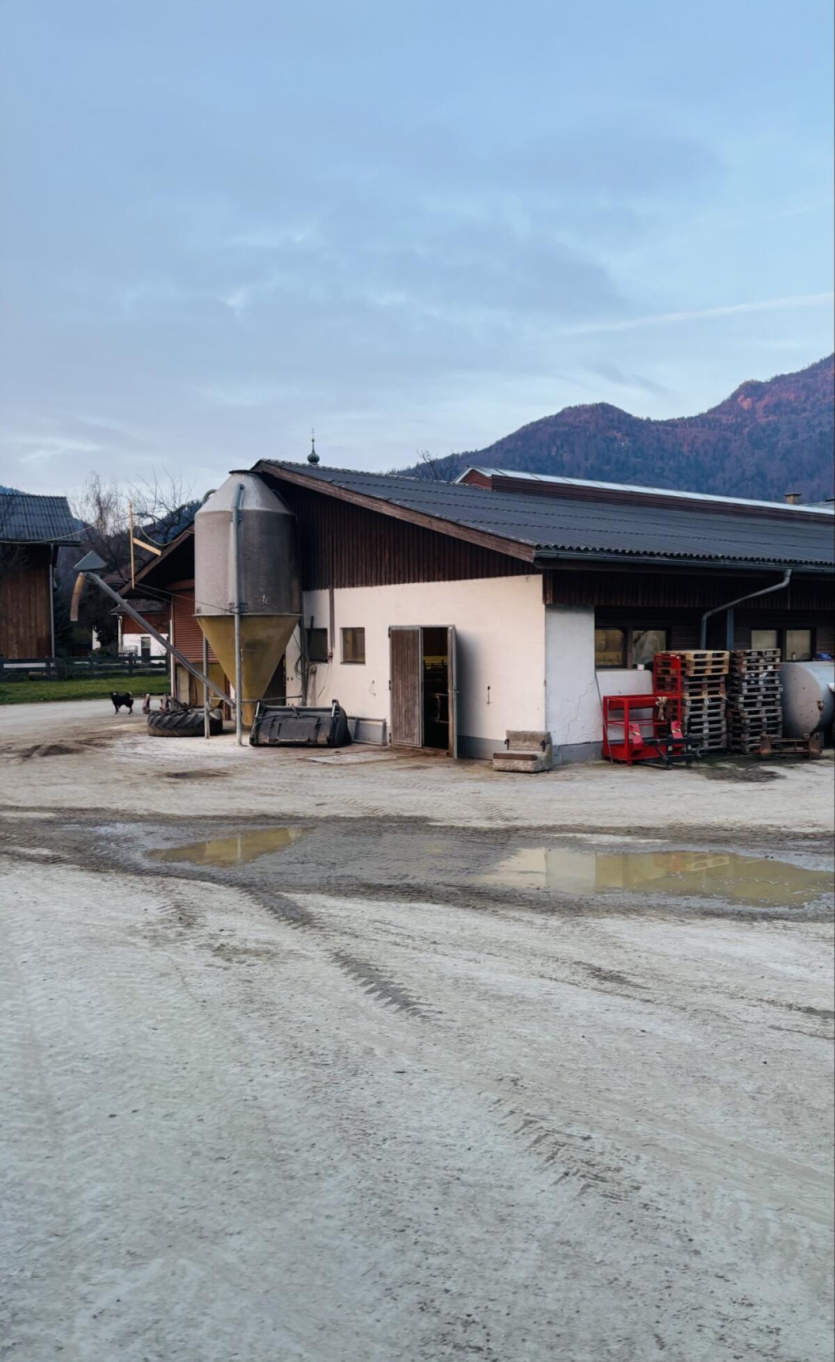 Stallgebäude Wolf-Halle 3