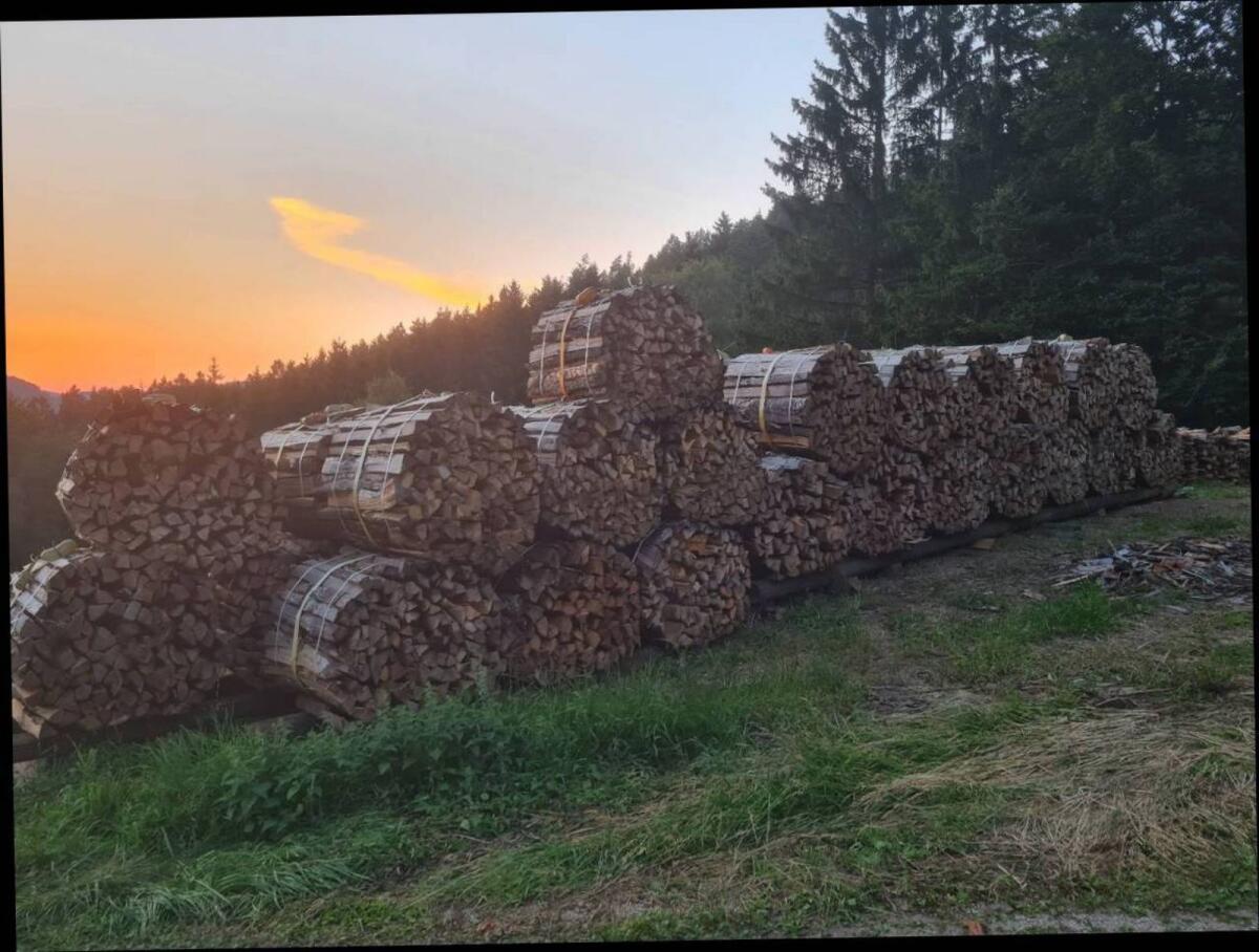 Brennholz 2
