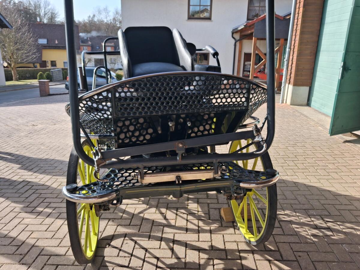Kutsche Marathonwagen 3