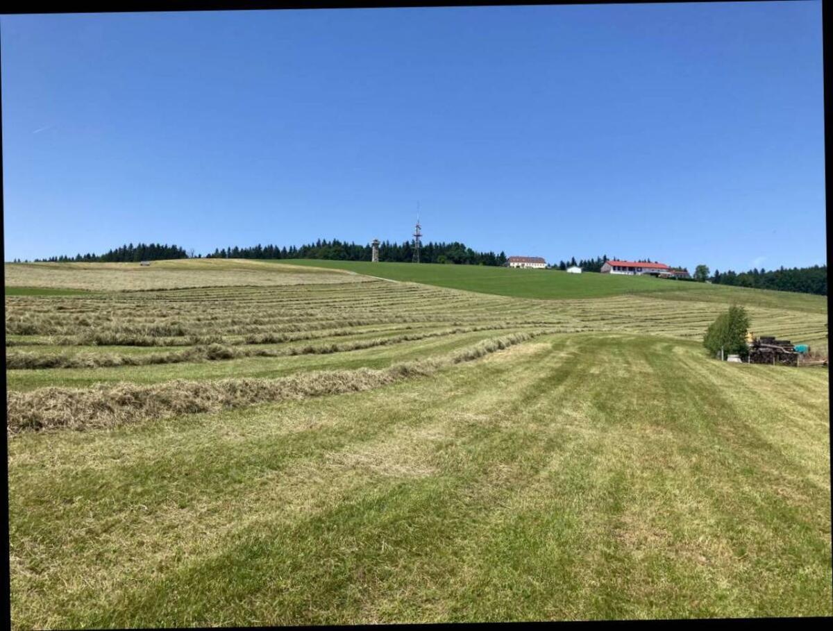 Heuernte 2026 2