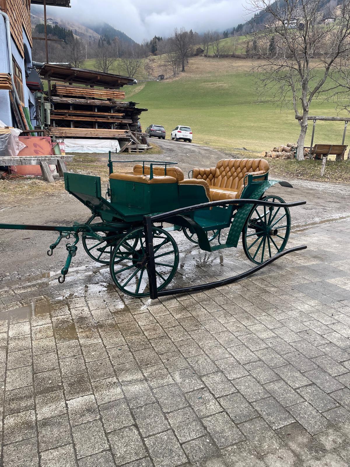 Pferdekutsche Ein- und Zweispänner 3