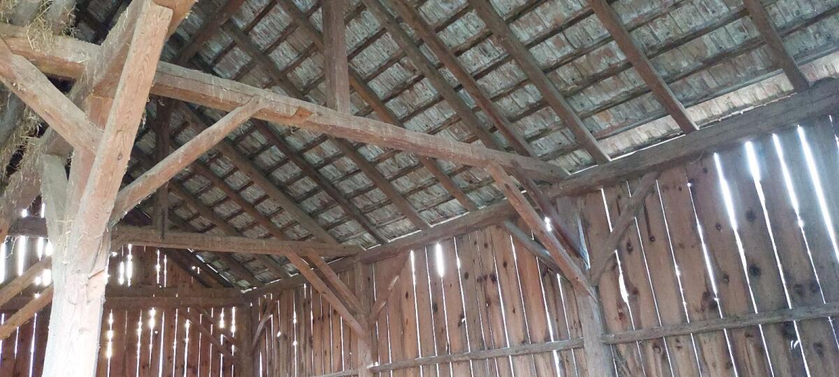 Alter Stadl, Altholz 3