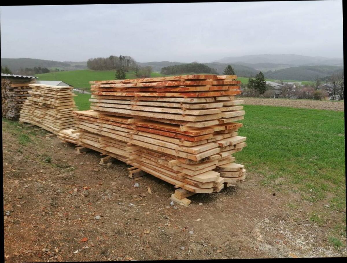 Erlen- und Eschenholz 2