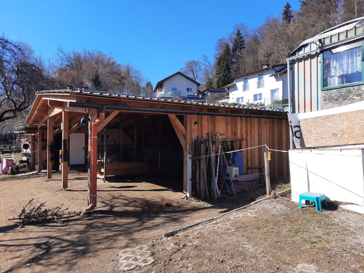 Einstellplatz im Offenstall 3