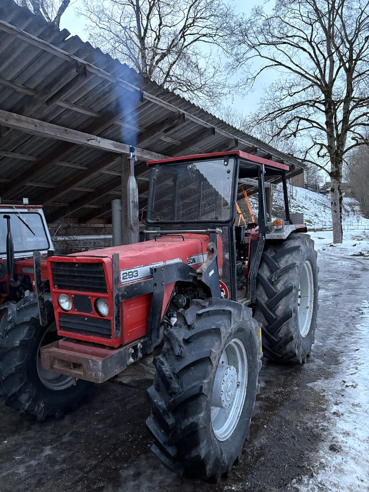 Masses ferguson 293 2