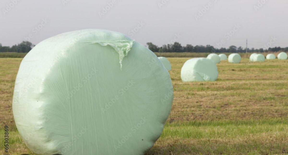 Heu und Siloballen 2
