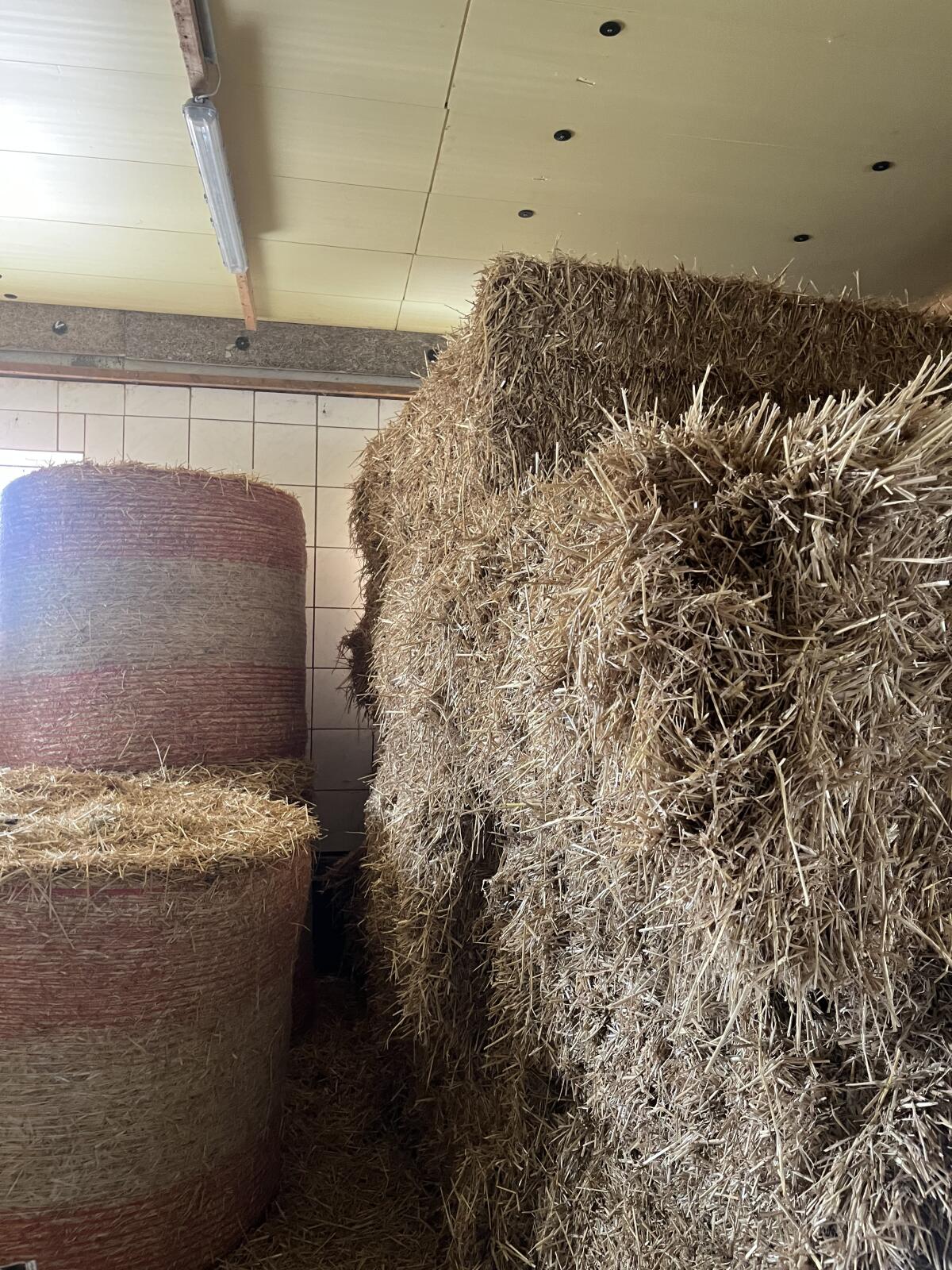 Weizenstroh zu verkaufen 3