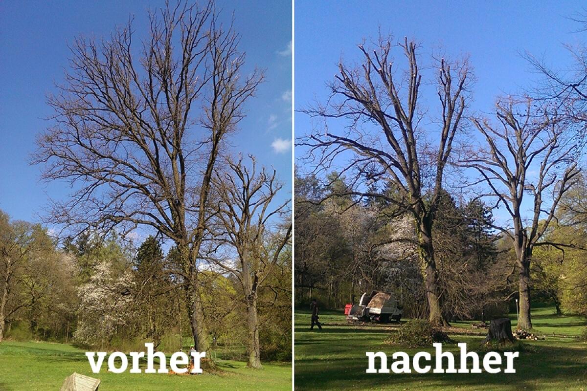Grundstückspflege 3