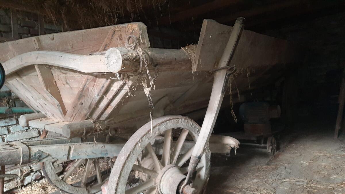 Alter Truhenwagen, Leiterwagen 3