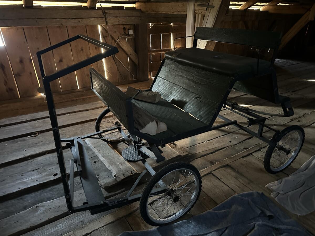 Pferdewagerl leicht 3