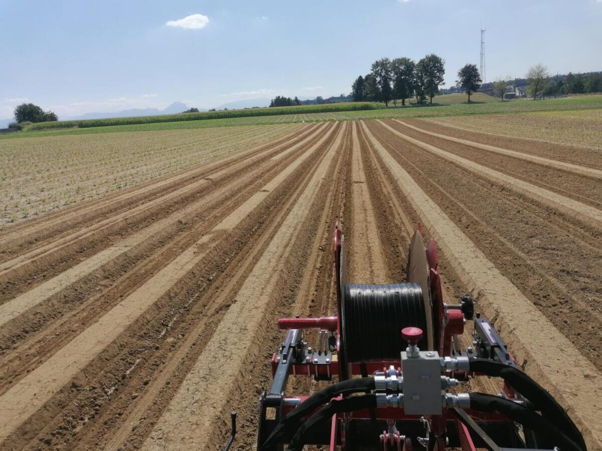 Verkaufe Forigo CMD 110 Dammformer 3