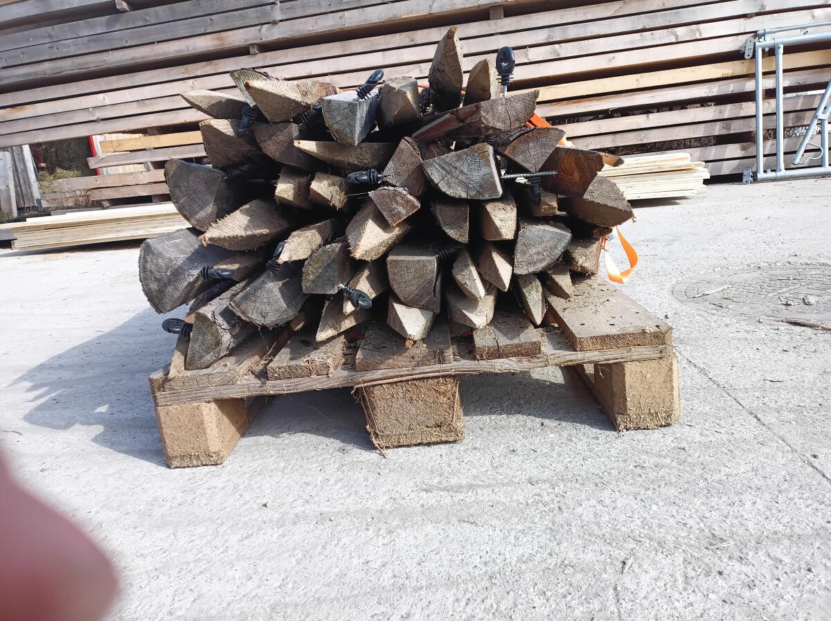 Lärchen Zaunpfähle 2