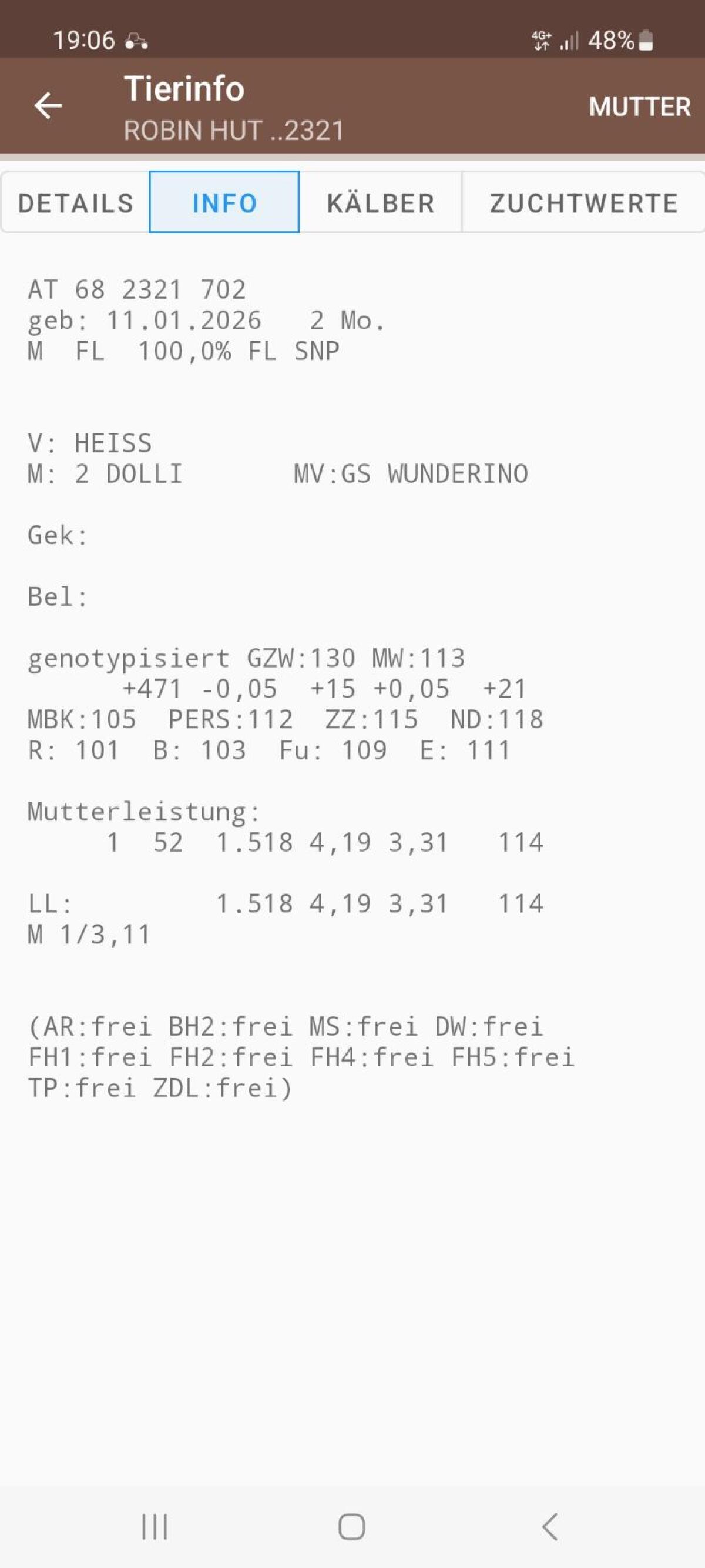 Genotypisiertes Stierkalb 2