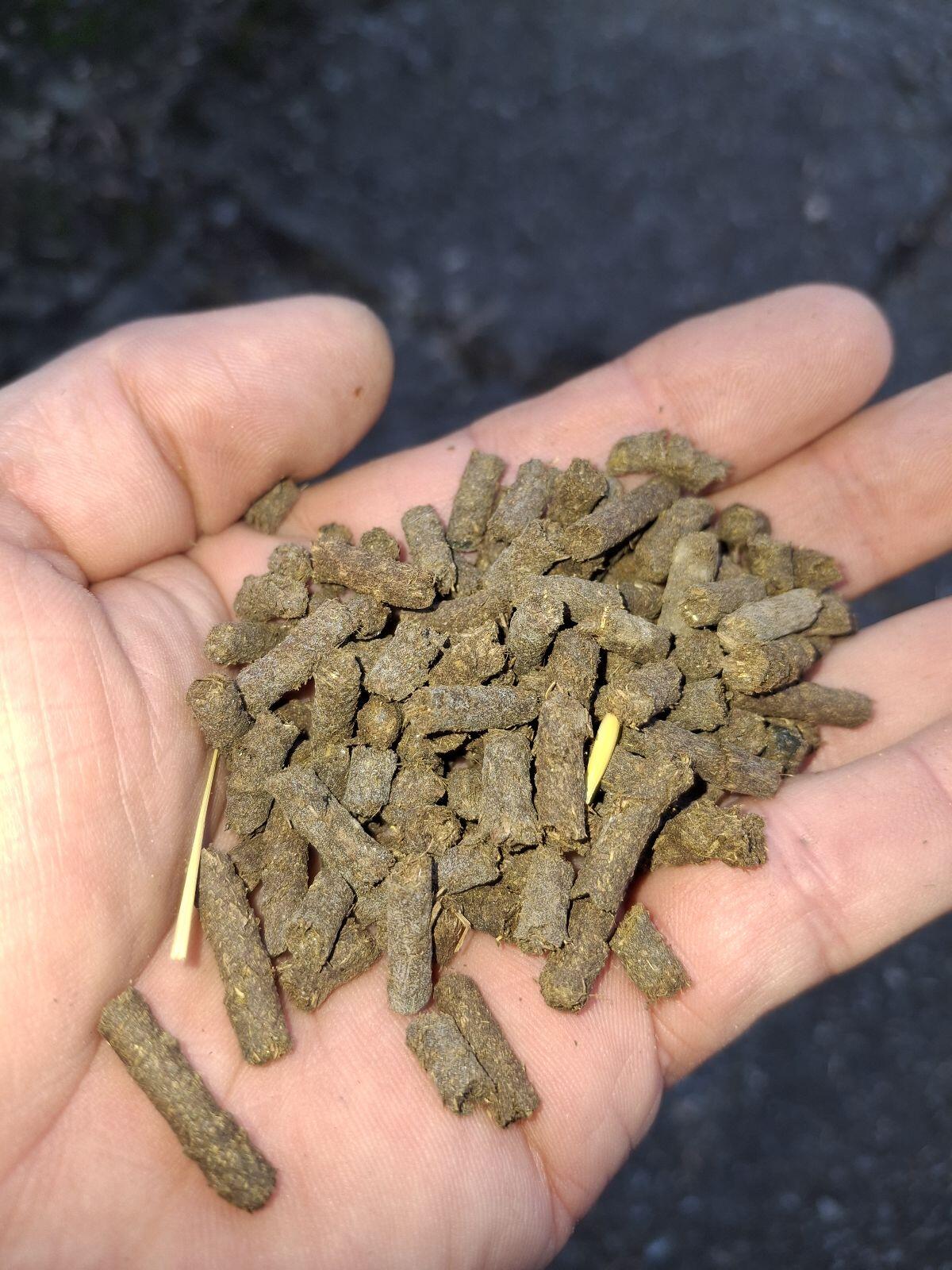 Futterpellets 2