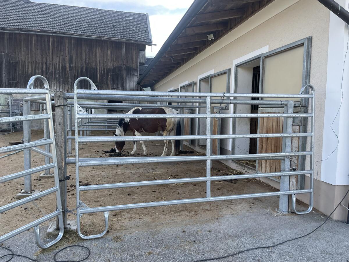 Pferde Einstellplätze 3