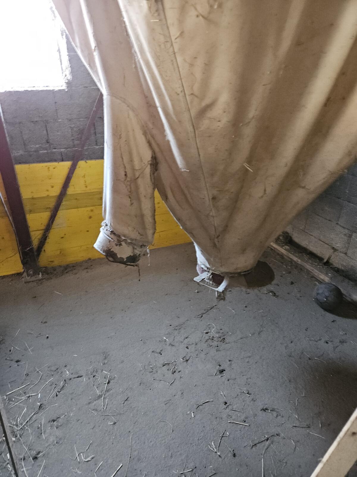 Trevira Silo 2