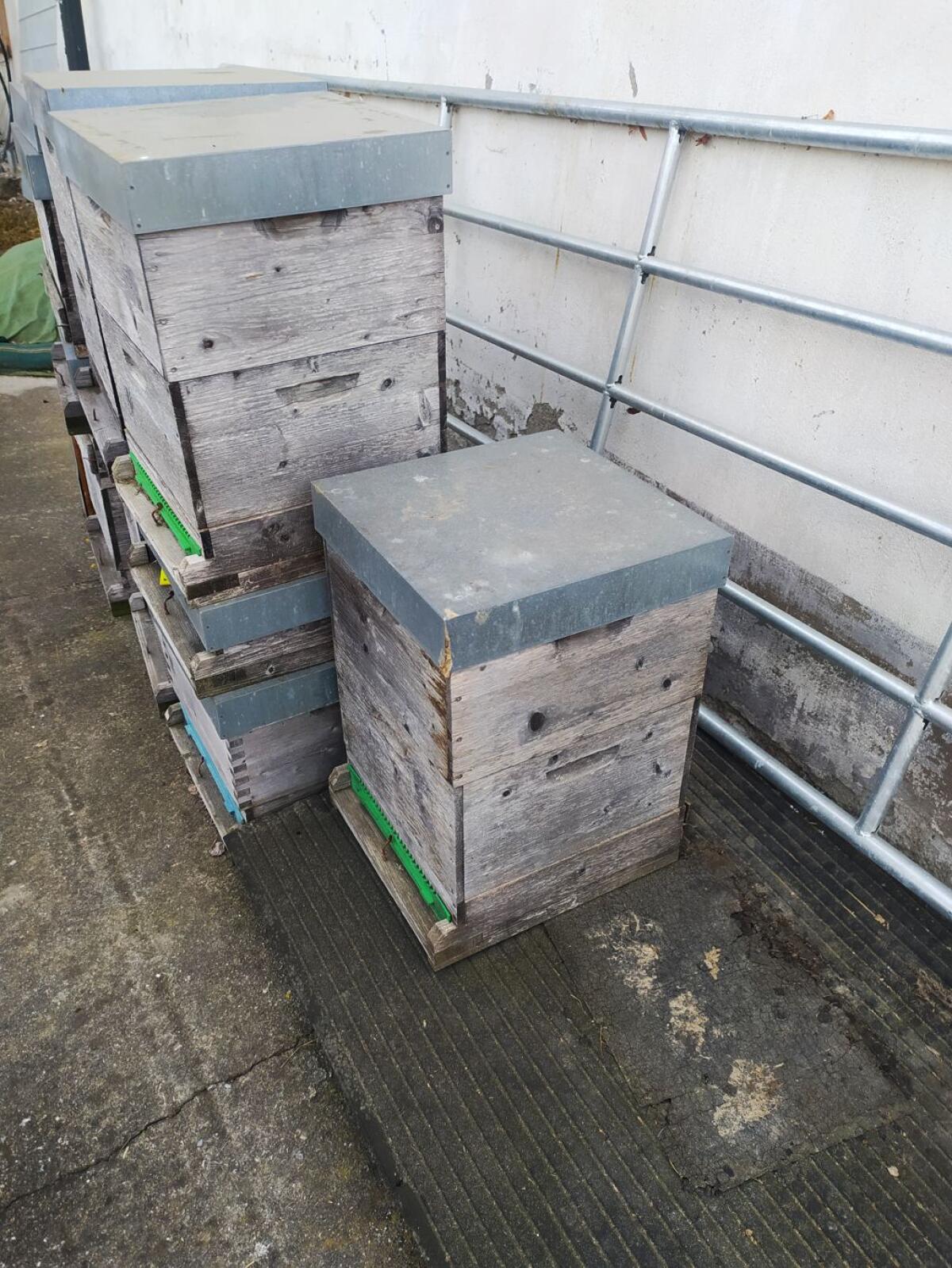 Bienen-Beuten Einheitsmaß Quadratisch 2