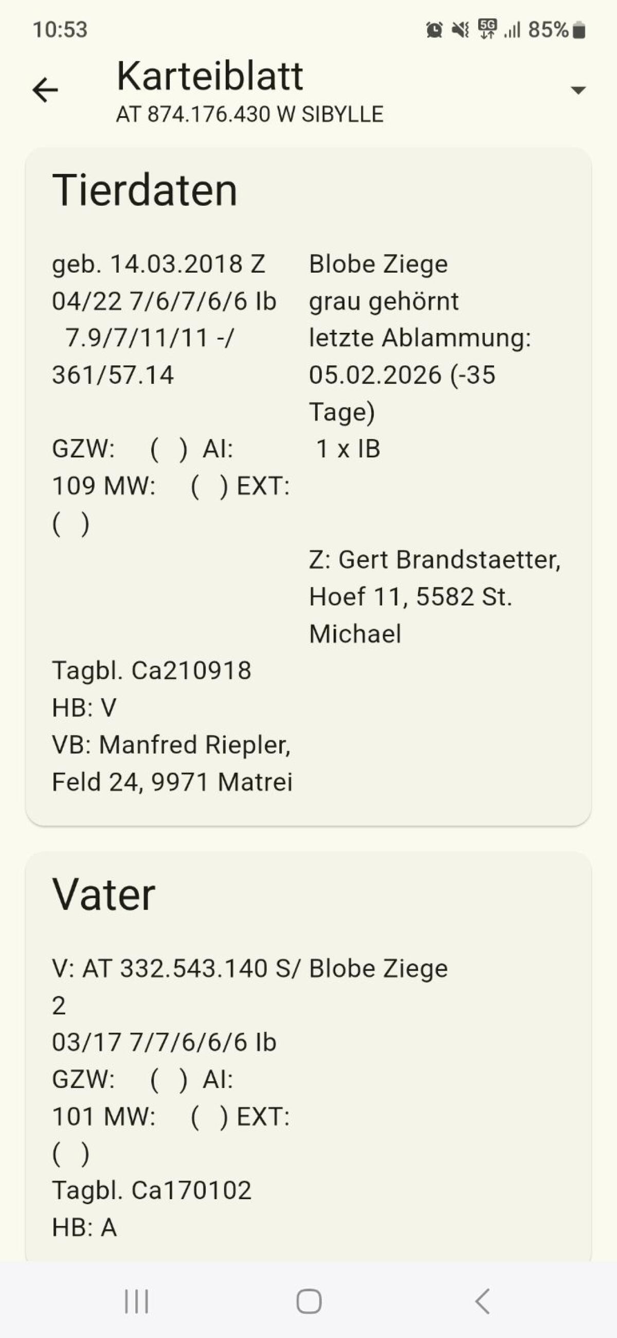 Blobe Ziege 2