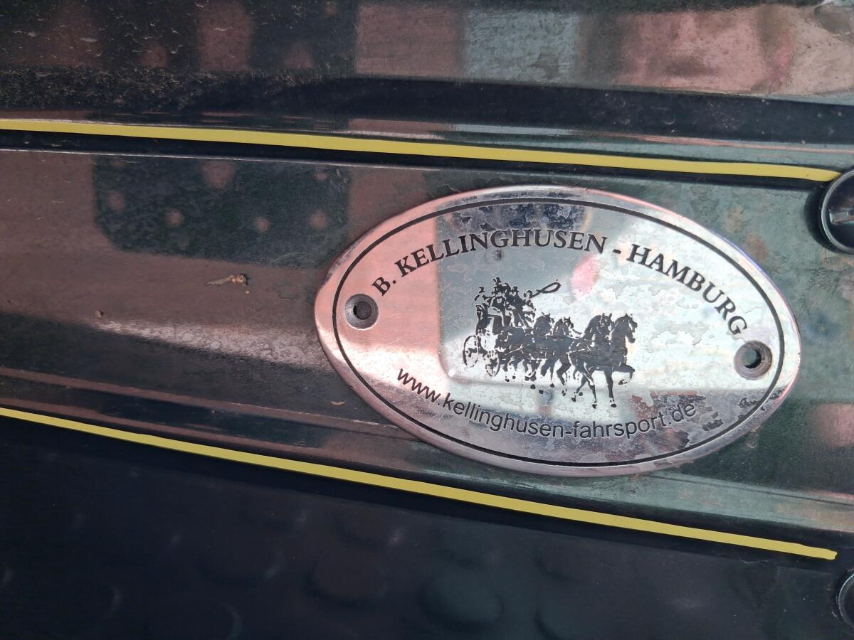 Kutsche Marathonwagen 3