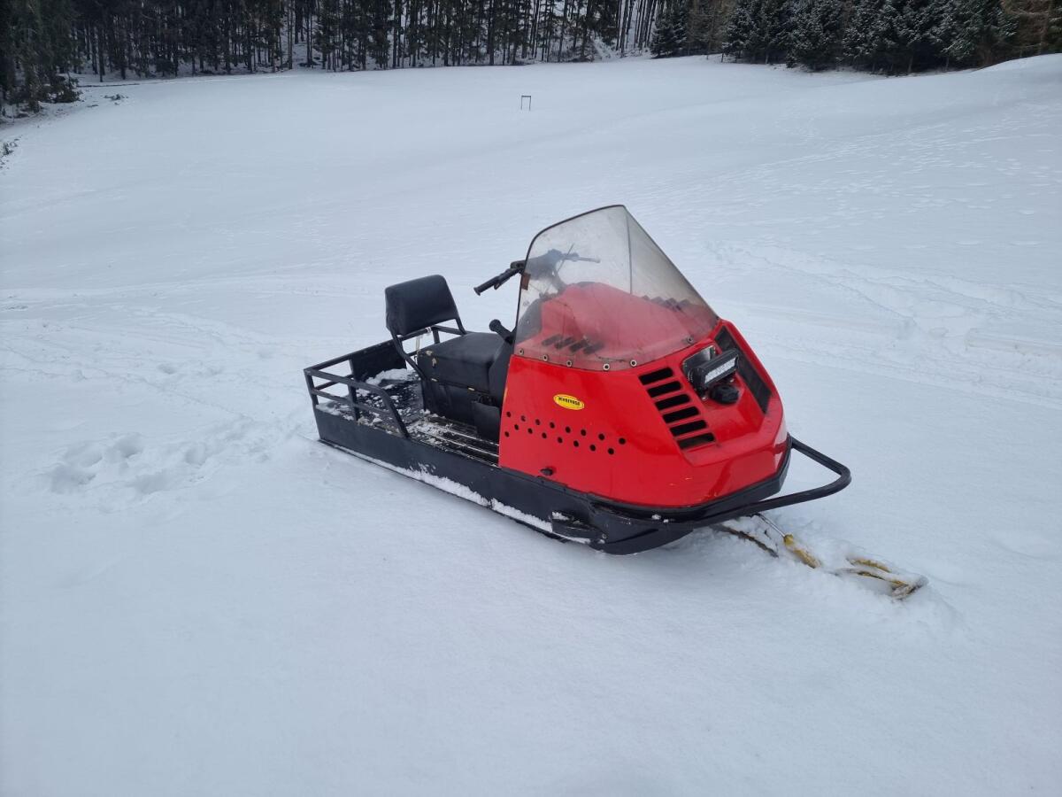 Motorschlitten Alpine Ski-Doo 3