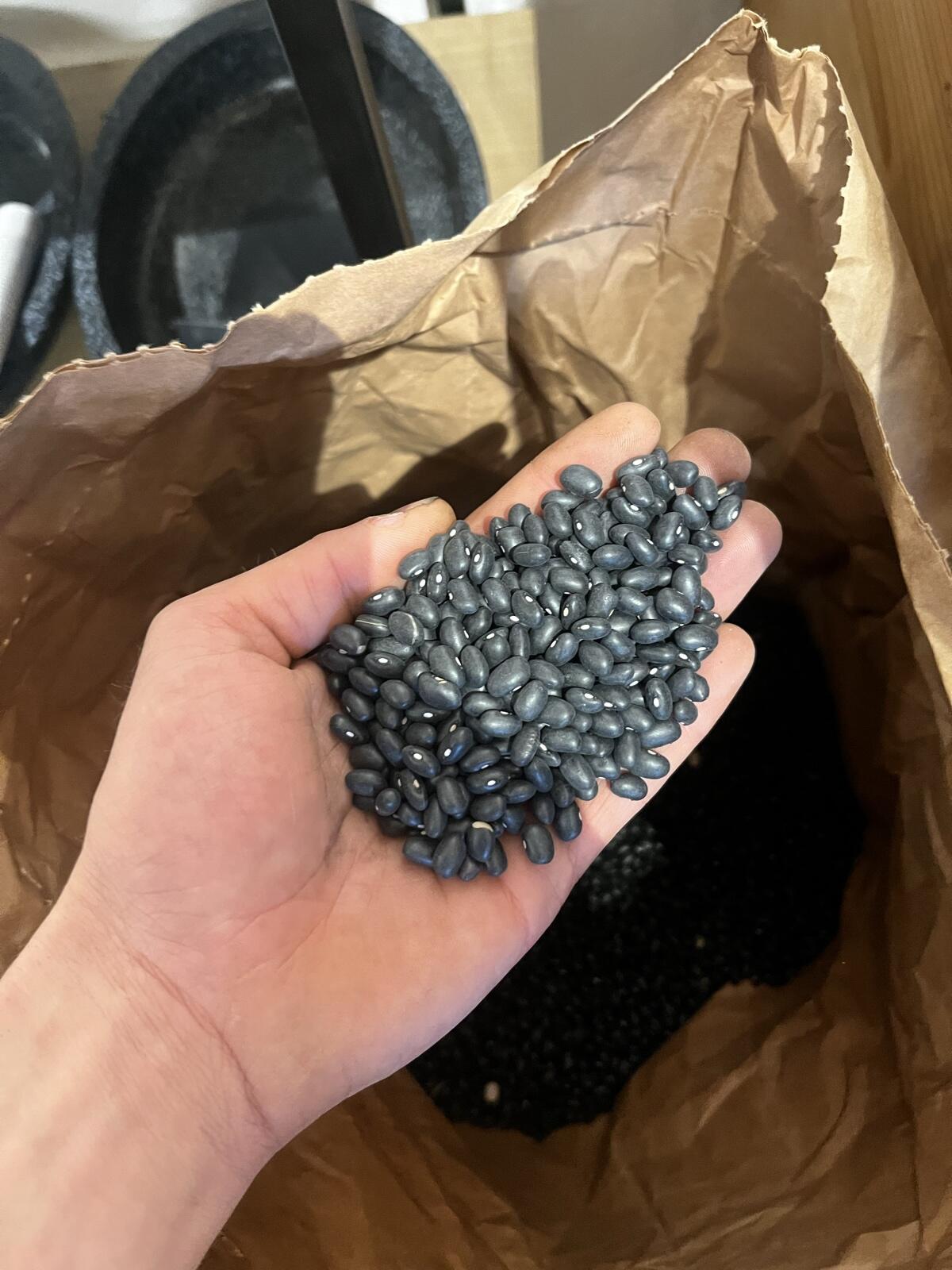 BIO Schwarze Bohnen (Speisebohnen) 3