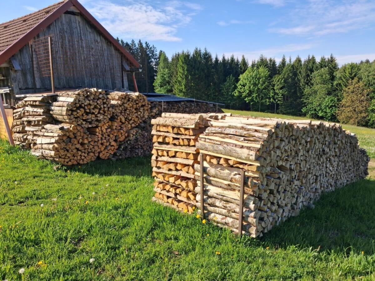 Brennholz Birke 2