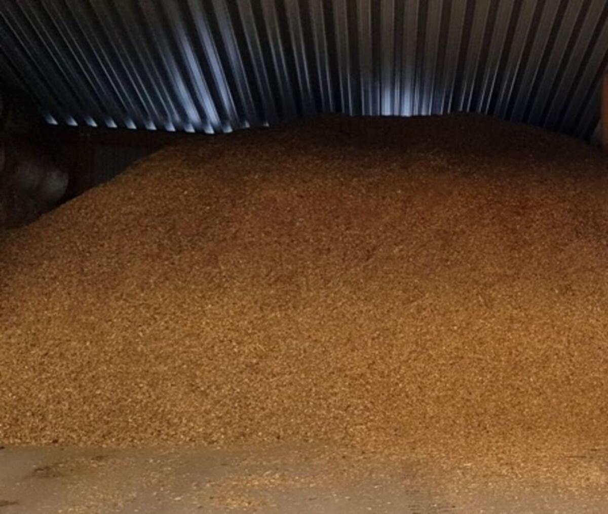 Hackschnitzel, Hackgut 2