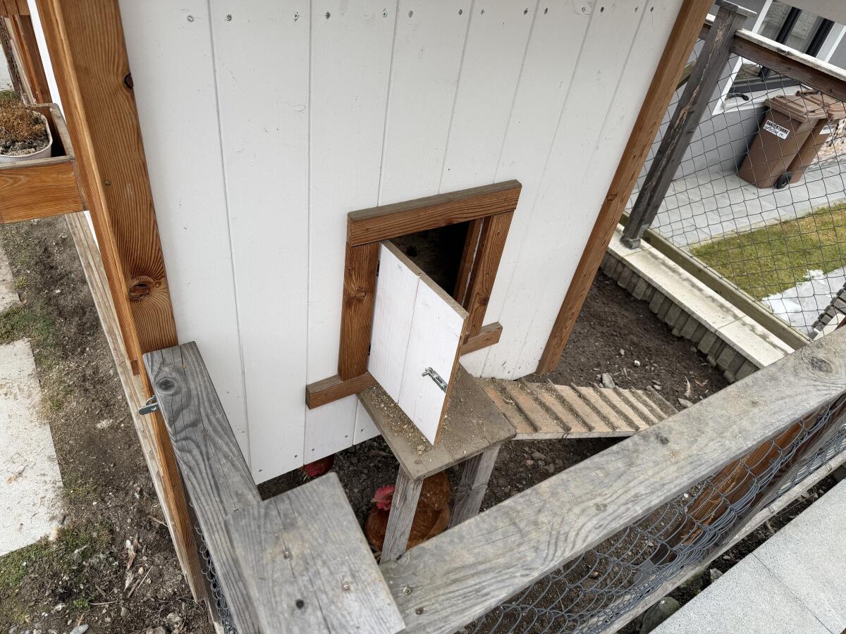 Hühnerstall, Enten-, Hasenstall 2