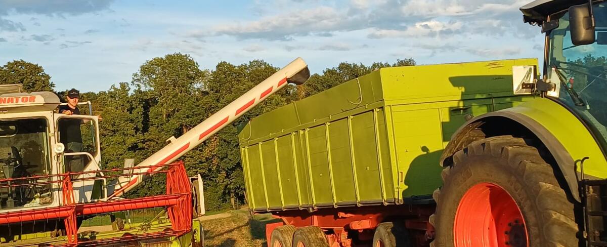 Claas Dominator 3