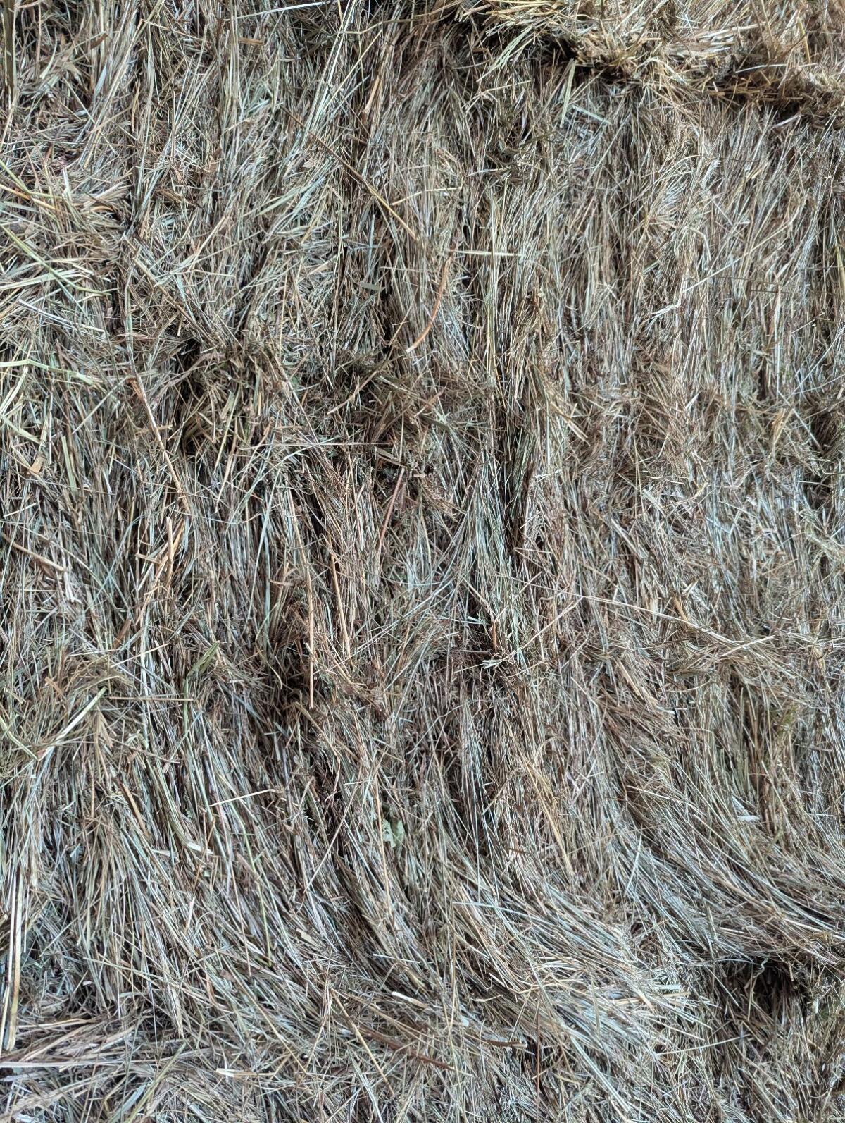 Bio Heu 3