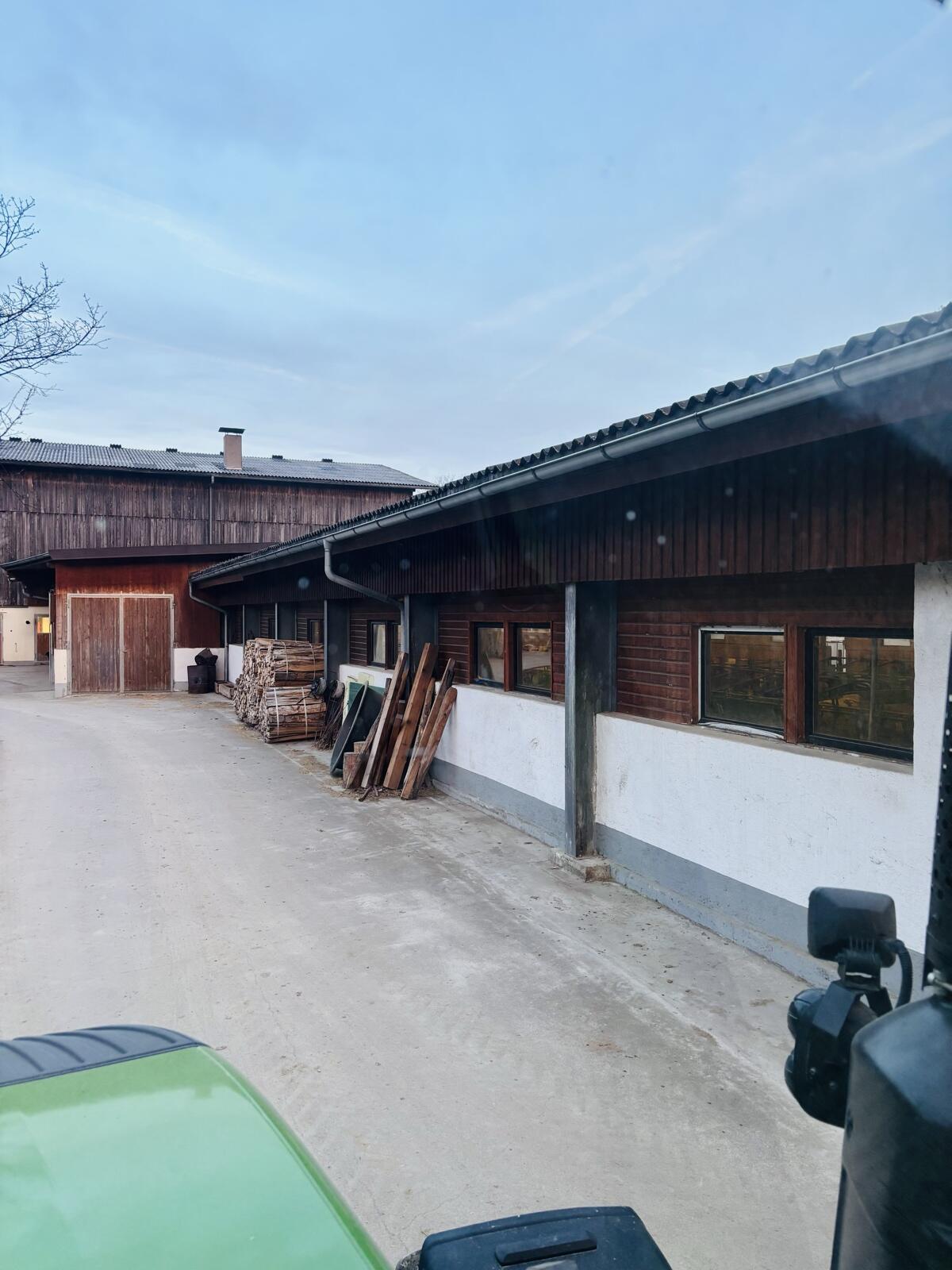 Stallgebäude Wolf-Halle 2