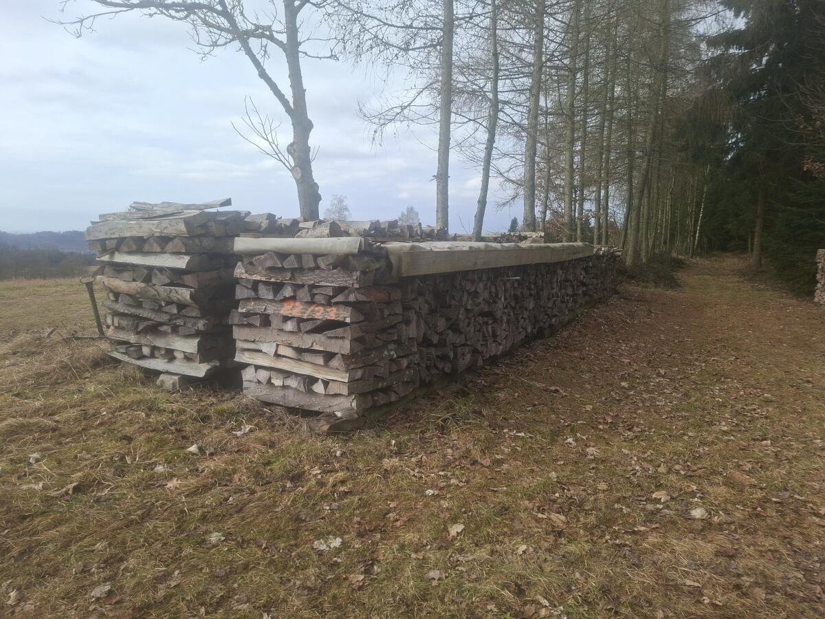 Brennholz hart 3