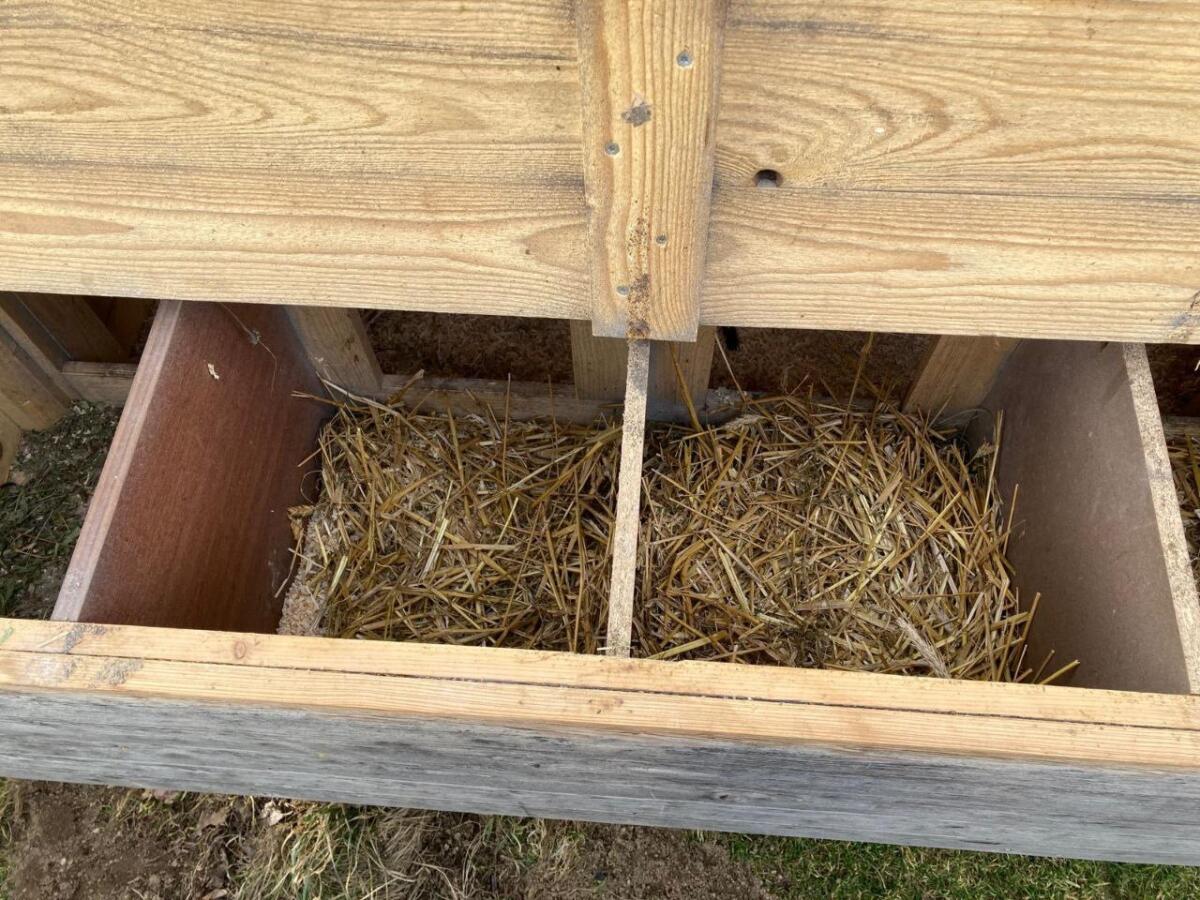 Verfahrbarer Hühnerstall 2