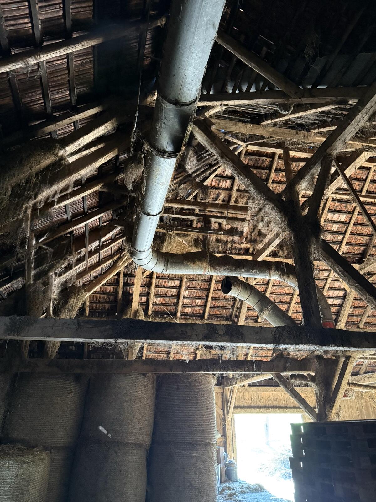 Heuverteileranlage Buchmann Express 2