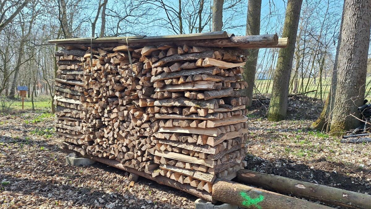 Brennholz 2