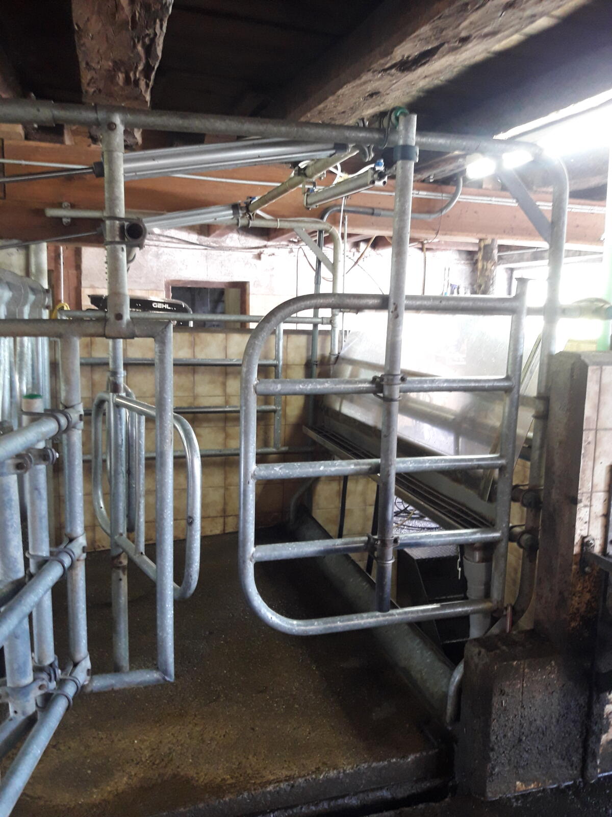 Side by Side 3er Melkstand mit Melktechnik 2