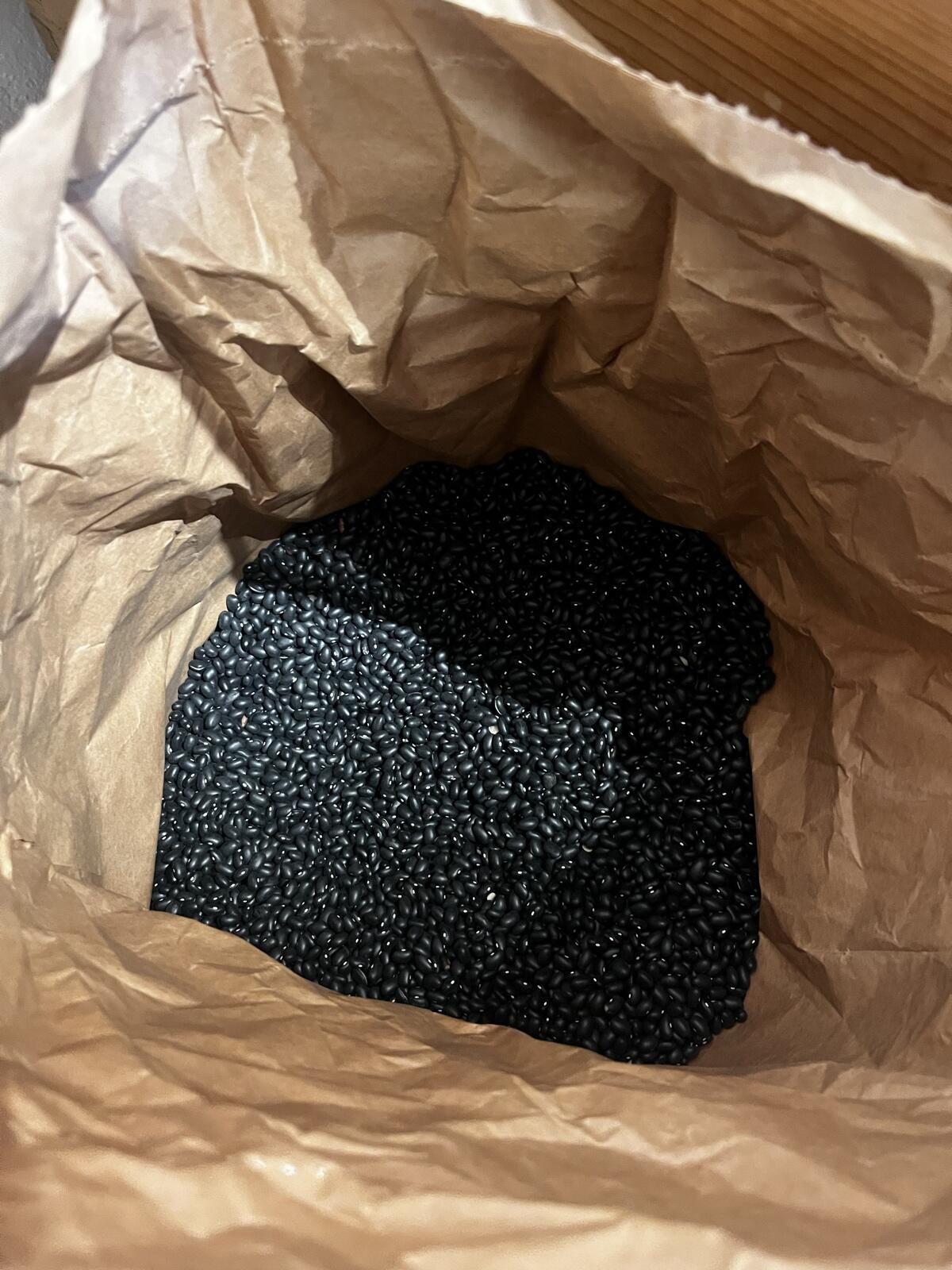 Bio Schwarze Bohnen (Speisebohnen) 2