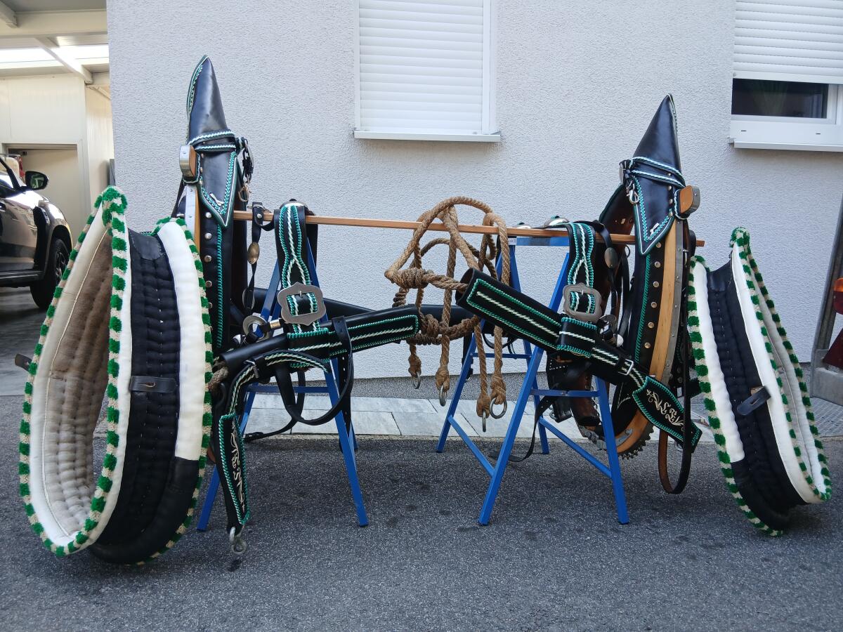 Kummetgeschirr 3