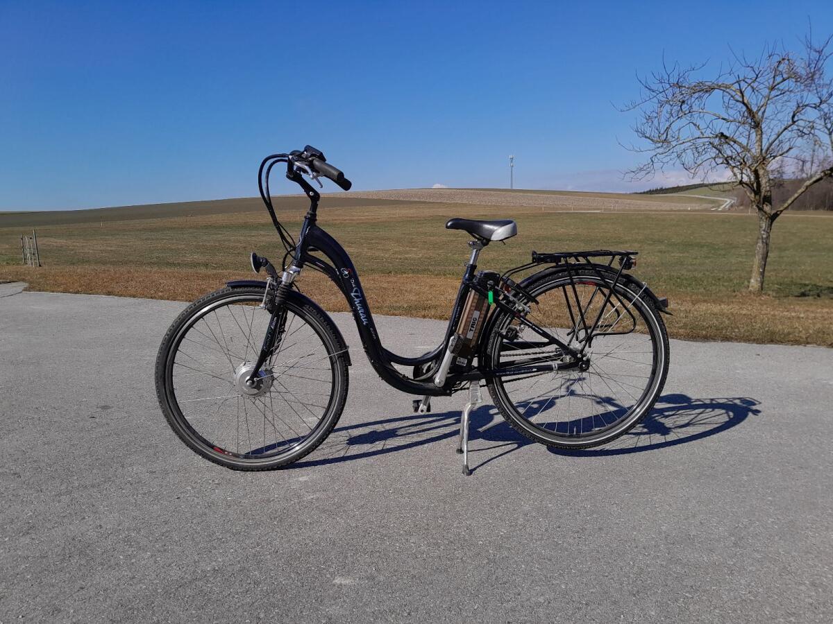 E-Bike Damen 2