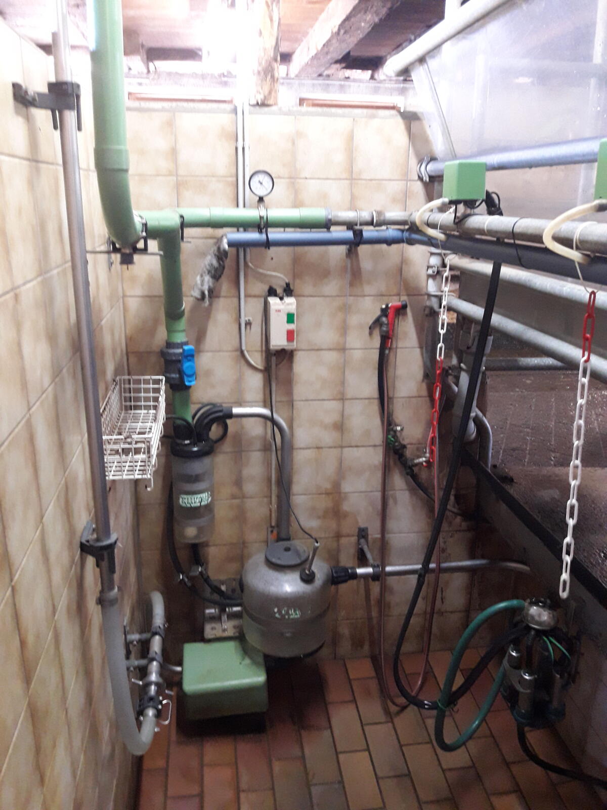 Side by Side 3er Melkstand mit Melktechnik 3