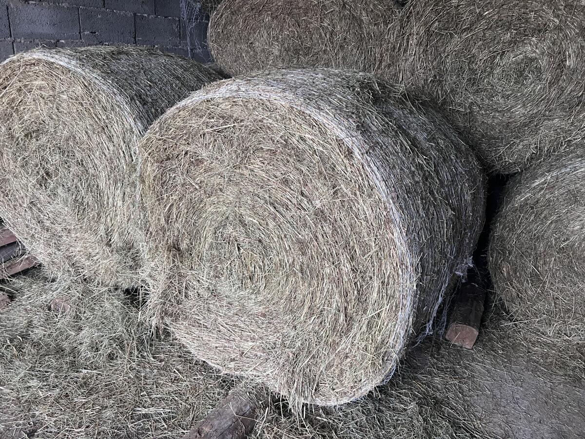 Heuballen groß 2