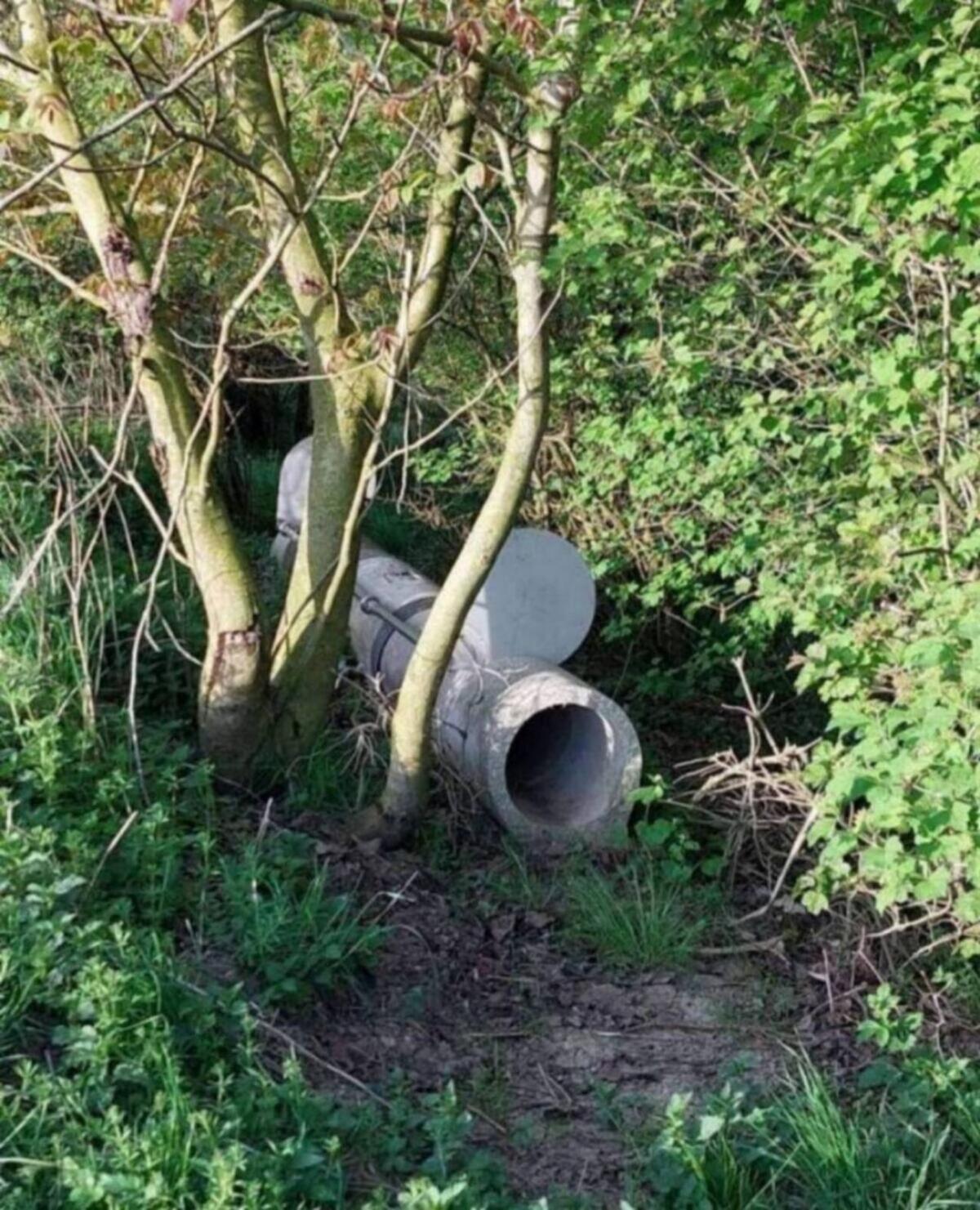 Betonrohrfalle 2