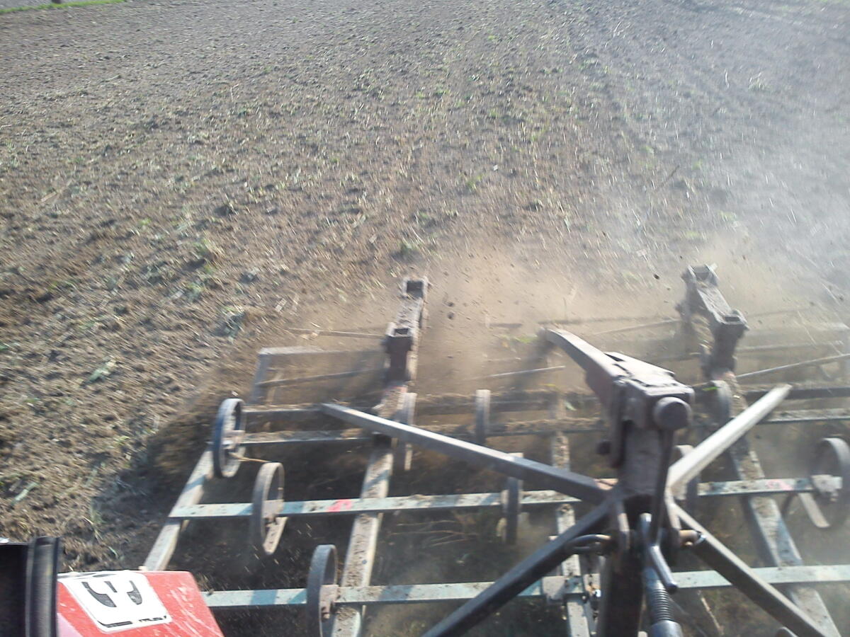 Eggenkombination Feingrubber Kultivator 3