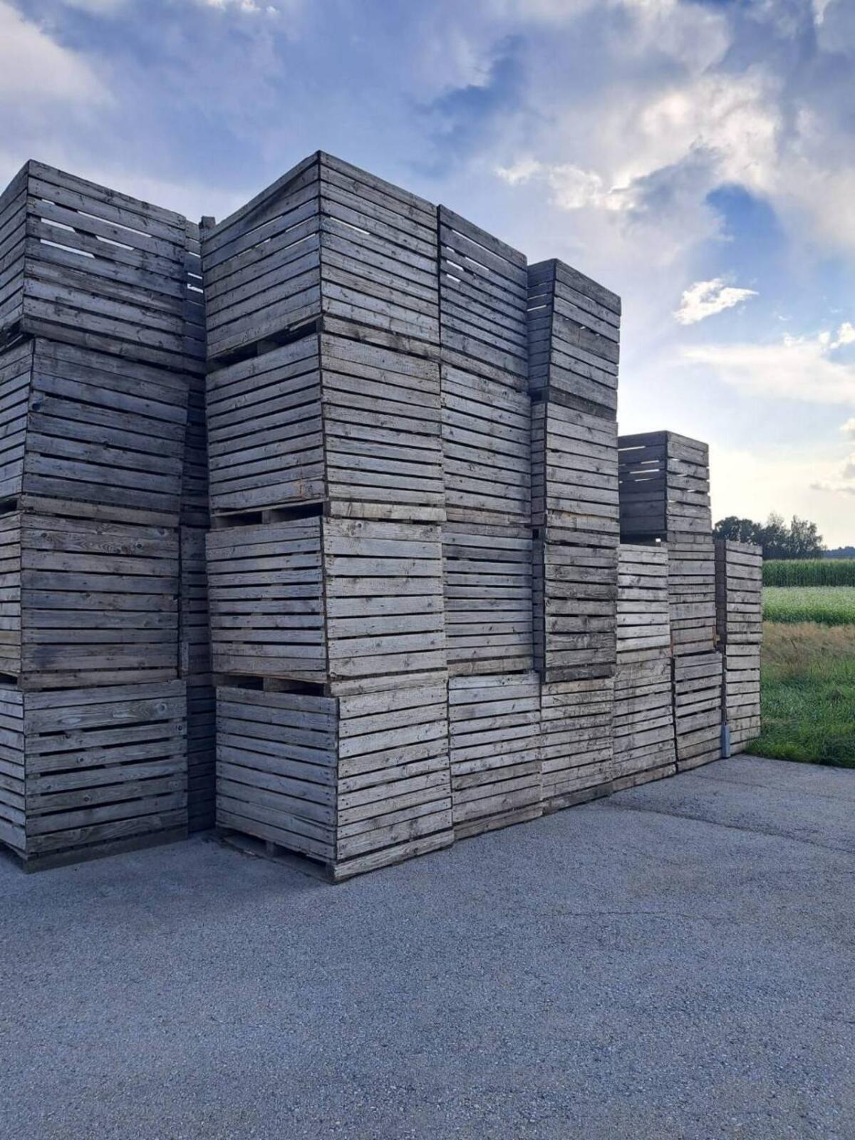Kartoffelkisten 2